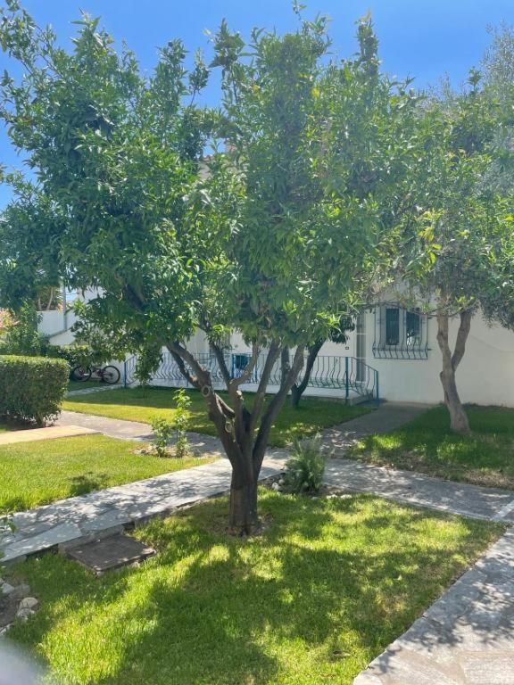 Вилла Three Sisters House Мола-Калива Экстерьер фото